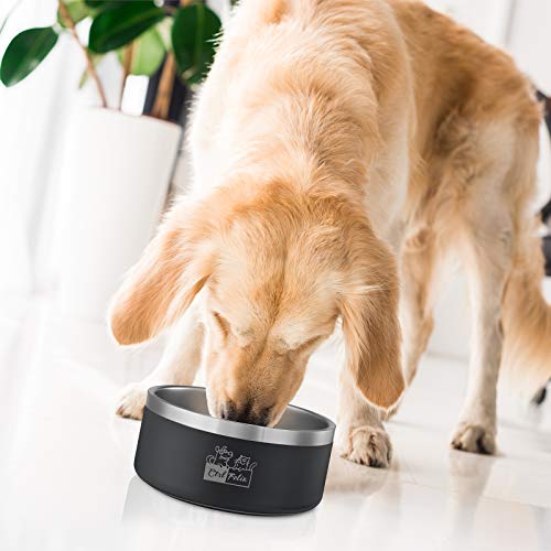 large dog water feeder