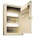 STEELMASTER 80-Key Uni-Tag Single-Tag Key Cabinet with Key Lock, Sand (201908003)
