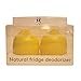 ZooBamboo Fridge Freshener Mold Remover Kitchen Deodorizer Odor Eliminator + Air Purifier (2 Pack) | Prevent + Absorb Mildew + Bacteria | Keep Your Fridge Clean Fresh | Lasts up to Two Years!!!