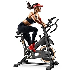 Indoor Cycling Bike Stationary, VIGBODY Exercise