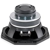B&amp;C 8CX21 Studio Subwoofer