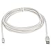 Amazon Basics Double Nylon Braided USB A Cable with Lightning Connector, Premium Collection, MFi Certified Apple iPhone Charger, 10 Foot, Silver