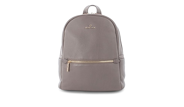 celine dion backpack purse