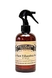 Hinterland Trading Air Plant Tillandsia Food and Fertilizer, 8-Ounce