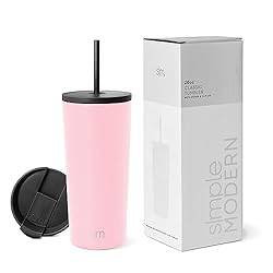 Simple Modern Insulated Tumbler with Lid and Straw