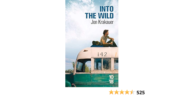 Into The Wild Voyage Au Bout De La Solitude Krakauer Jon Molinier Christian Amazon Com Books