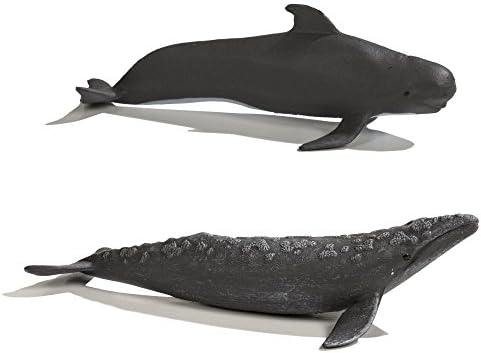 safari ltd killer whale