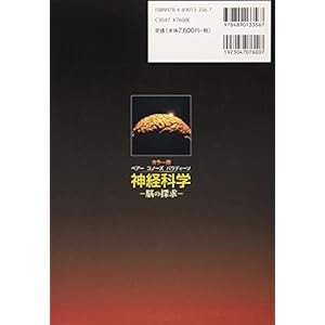 Quest of the brain - color version Bear co nose Paradiso Neuroscience (2007) ISBN: 4890133569 [Japanese Import]