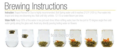 Tea Beyond FLS-3SET-BLF2100 12-Pack Fab Flowering Blooms Tea - Thumbnail 4