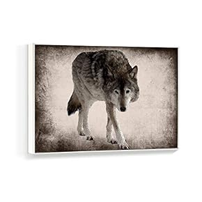 Framed Canvas Wall Art for Living Room, Bedroom Black and White Animal Canvas Prints for Home Decoration Ready to Hanging - 16x24 inches