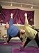 Expanding into Fullness, Yoga for Large Women with Sally Pugh DVD815597011021