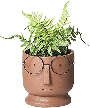 Face Planters Pots,5.12 inch Terracotta Plant Pot Modern Ceramic Human Face  Vase Succulent Head Planter Pot Indoor Head Planter Clay Bonsai Containers  with Drainage Holes /Saucer price in Saudi Arabia | Amazon