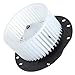 SCITOO HVAC Heater Blower Motor with Fan Cage Front 700022 For Ford 1997-2016(For Ford For E-150/For E-150 Club Wagon/For E-150 Econoline/For E-150 Econoline Club Wagon/For E-250/For E-250 Econoline)