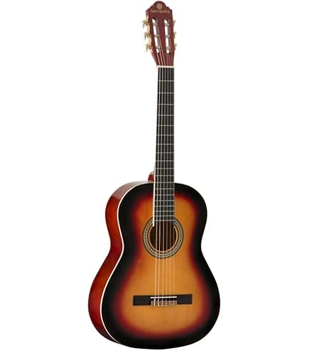 Violão Elétrico N-14 Roxo Nylon Acústico 4/4 Versátil E Leve