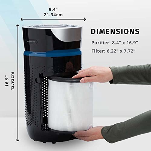 HoMedics TotalClean 3in1 HEPAType Filter Replacement for Air Purifiers, Works with HoMedics