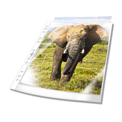 Durable 265819 – Busta business fortata per cataloghi, f.to A4, apertura lato superiore, finitura buccia d'arancia, trasparente, confezione da 100 pezzi