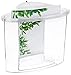 Fluval View Aquarium, 4-Gallon