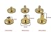 CrazyEve Brass Leather Binding Stud Belt Strap Bag Screws Binder Nail Rivet 20 Sets with Install Hole Punch (10mmx8mm)