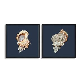 2 Piece Framed Canvas Wall Art for Living Room, Bedroom Conch Theme Canvas Prints for Home Decoration Ready to Hang - 16"x16"x2 Panels