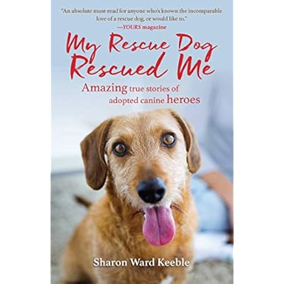 Buy My Rescue Dog Rescued Me Amazing True Stories Of Adopted Canine Heroes Hardcover April 11 2017 Online In Turkey 1510717374