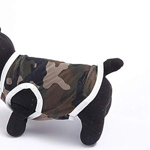 WFWUK Cappotto per Cani Cappottino Cane Estate Estate Vestiti per Cani Vestiti del Gattino Vestiti per Animali Domestici… WFWUK WFWUK Cappotto per Cani Cappottino Cane Estate Estate Vestiti per Cani Vestiti del Gattino Vestiti per Animali Domestici…