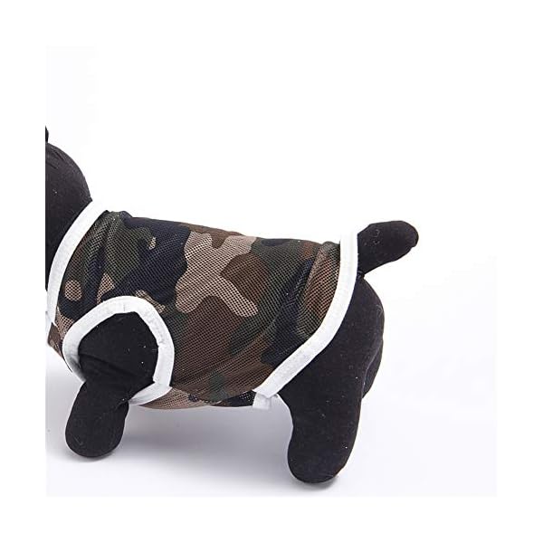 WFWUK Cappotto per Cani Cappottino Cane Estate Estate Vestiti per Cani Vestiti del Gattino Vestiti per Animali Domestici… WFWUK WFWUK Cappotto per Cani Cappottino Cane Estate Estate Vestiti per Cani Vestiti del Gattino Vestiti per Animali Domestici…