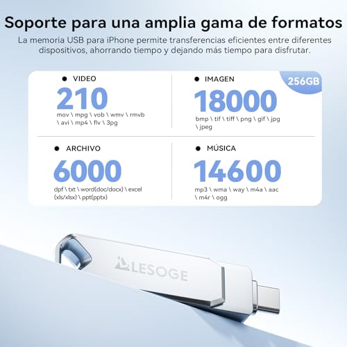 LESOGE MFi 256GB USB C Flash Drive for iPhone and Android, iPhone 3 in 1 External Memory Stick, USB 3.0 Flash Drive, USB-C Pendrive for Photos and Videos (Silver)