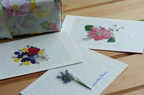 Amazon Co Jp 押し花貼るだけフィルムａ４サイズ3枚 ホーム キッチン