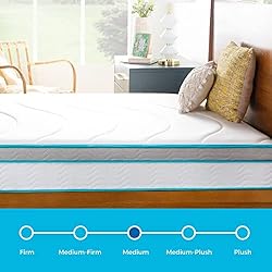 LINENSPA 10 Inch Memory Foam and Innerspring Hybrid