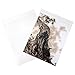 ClearBags 11 1/4 x 14 1/8 Flap Crystal Clear Seal Top Bags With Resealable Adhesive on Flap Not Bag | 11x14 Photos Art Pictures Posters | Crystal Clear, Archival Safe | B11S Pack of 100