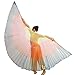 MUNAFIE Halloween Costumes Belly Dance Isis Wings for Children Kids Rainbow (With Sitcks and Bag)