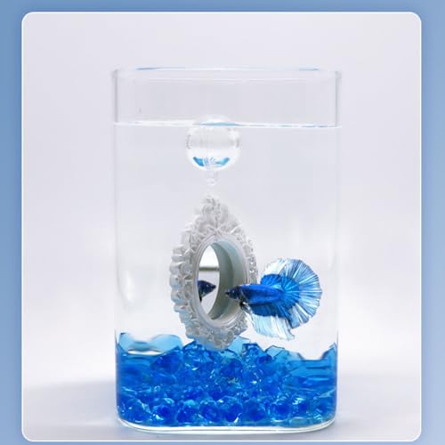 Nwsrayu Floating Training Mirror Set