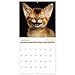 2020-2021 Wall Calendar - Pooping Dogs 2020-2021 Calendar with Thick Paper, 18 Month from Jan.2020 to Jun. 2021, Large 11