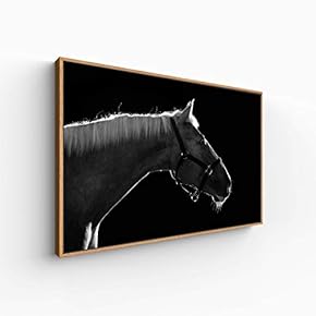 Canvas Wall Art for Living Room, Bedroom Animal Portrait Framed Canvas Prints for Home Decoration Ready to Hang - 16x24 inches