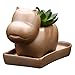 GeLive Ceramic Hippo Succulent Pot Indoor Planter Cactus Plant Pot Windowbox Decor with Drainage Hole Saucer (Brown)