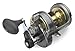 Shimano TYRNOS II Conventional Reels (TYR30II) Fishing