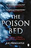 The Poison Bed: 'Gone Girl meets The Miniaturist' by 