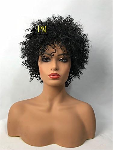 Pengma Short Afro Kinky Curly Hair Wig for African Americans Short Curly Wigs for Black Women Color 1B