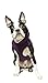 Gooby Fleece Vest Hoodie Dog Sweater - Plum, Small - Warm Pullover Dog Hoodie with O-Ring Leash - Winter Hooded Small Dog Sweater - Dog Clothes for Small Dogs Boy or Girl, and Medium Dogs