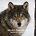 Wolves 8.5 X 8.5 Calendar September 2019 -December 2020: Monthly Calendar with U.S./UK/ Canadian/Christian/Jewish/Muslim Holidays-Wolf Animal Nature by Lynne Book Press