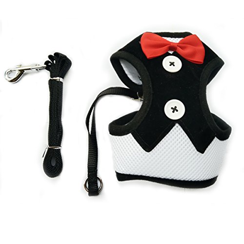 Layboo Soft Handsome Collar Rabbit Little Dogs Cats Harness With Leash Size (M, black)