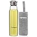 TOPOKO Handmade 18.5 Ounce Glass Water Bottle-Extra Strong Crystal Glass Bottle Bpa-Free, Lead-Free with Handmade Handle Nylon Sleeve (Grey)