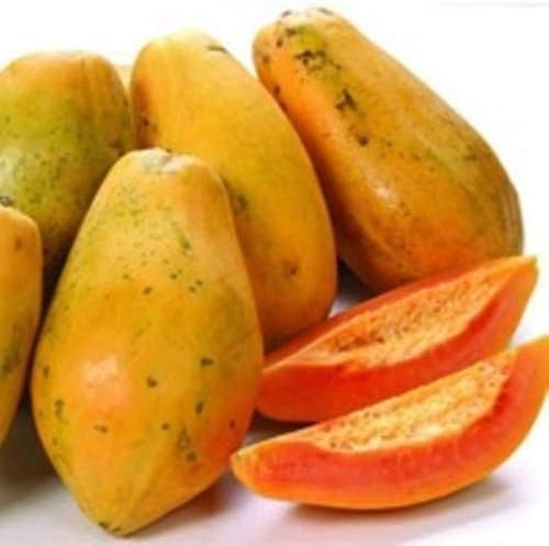 Shopvise Papaya Seed (50 Per Packet)