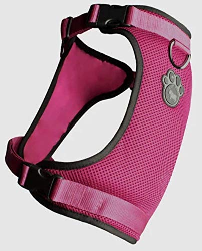 xx NO-PULL HARNESS S SIZE