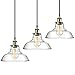 3-Pack Pendant Light Hanging Glass Ceiling Mounted Chandelier Fixture, SHINE HAI Modern Industrial Edison Vintage Style