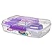 Sistema To Go Collection Large Bento Box Plastic Lunch and Food Storage Container, 7.4 Cup, Multi Compartment, Color Varies | BPA Free