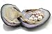 Twin Pearls Freshwater Cultured Double Love Wish Pearl Oyster with Round Twin Pearl Inside 10 Colors 6.5-7.5mm (10 Oysters & 20 Pearls)