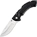 Buck Knives 0397BKS Folding Omni Hunter 12 PT Folding Knife with Sheath