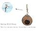 Tfwadmx Coconut Hide with Ladder, Natural Coconut Fiber Hanging Birdhouse Cage, Coconut Bird Shell Breeding Nest for Parrot Parakeet Lovebird Finch Canary (2 Pcs)
