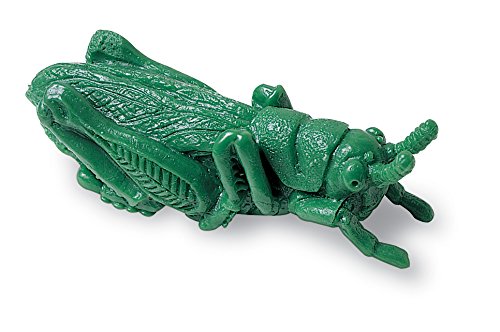 Learning Resources Backyard Bugs Counters - 72 Pieces, Ages 3+ Counting and Sorting Toys for Toddlers, Preschool Learning Toys